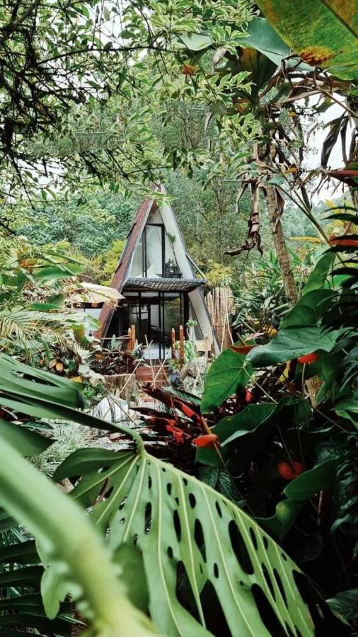 Hôtel Glamping Salento Con Jacuzzi Climatizado Extérieur photo
